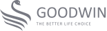 GOODWIN Official Logo